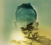 Duquette Johnston - Rabbit Runs a Destiny