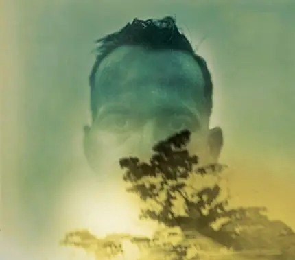 DUQUETTE JOHNSTON - Rabbit Runs a Destiny