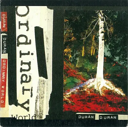 Duran Duran - Ordinary World