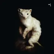 DUS-TI
