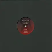 12inch Vinyl Single - Dustin Zahn - New Day Rising Remixes