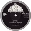 12'' - Dusk - Aquarian Project