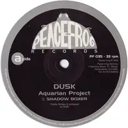 Dusk - Aquarian Project