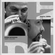 CD - Dusko Goykovich - Samba Tzigane