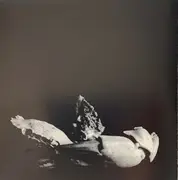 CD - Duvalby Brothers - The Sleepytime Medicine Band