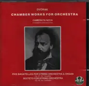 Dvořák - Chamber Works for Orchestra