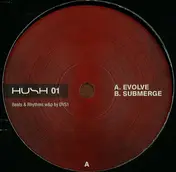 DVS1 - Evolve / Submerge