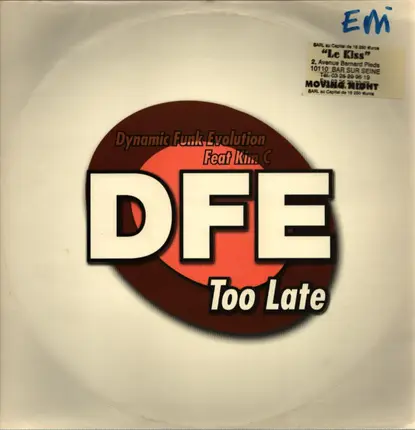 Dynamic Funk Evolution - Too Late