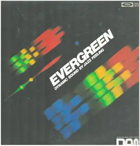 Dynamic Special Sound Orchestra - Evergreen