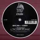 12inch Vinyl Single - Dylan & Loxy - Evolution / The Temple (Of Doom)