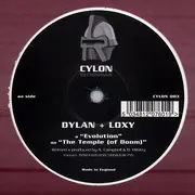 12inch Vinyl Single - Dylan & Loxy - Evolution / The Temple (Of Doom)