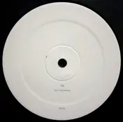 E.R.P. - Vox Automaton