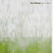 Ecovillage - Phoenix Asteroid