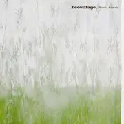 CD - Ecovillage - Phoenix Asteroid