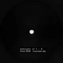 12inch Vinyl Single - Echtzeit - CL Versions 1 - 4