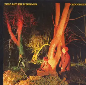 Echo & the Bunnymen - Crocodiles