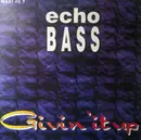 12inch Vinyl Single - Echo Bass - Givin' It Up