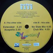 12inch Vinyl Single - Echo Bass - Say Up And Down!