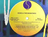 Echo & The Bunnymen - Bedbugs And Ballyhoo