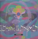 LP - Echo & The Bunnymen - Reverberation