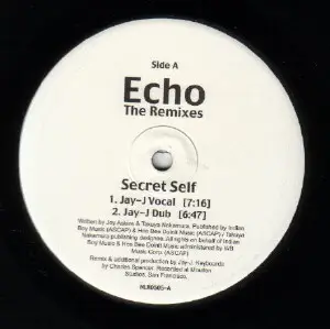 Echo - The Remixes