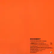 12inch Vinyl Single - Echoboy - Telstar Recovery Promo