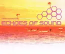CD Single - Echoes Of Sound - Need Somebody (Who Needs Me)
