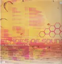12inch Vinyl Single - Echoes Of Sound - Need Somebody (Who Needs Me) (Vinyl 1)