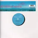 12inch Vinyl Single - Echoes Of Sound - Need Somebody (Who Needs Me)