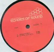 12'' - Echoes Of Sound - Need Somebody (Who Needs Me) (Vinyl 1)