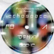 Echospace