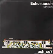 Echorausch