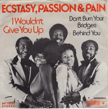 Ecstasy, Passion & Pain - I Wouldn't Give You Up / Don't Burn Your Bridges Behind You