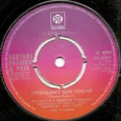 Ecstasy, Passion & Pain - I Wouldn't Give You Up