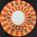 7inch Vinyl Single - Ecstasy, Passion & Pain - One Beautiful Day / Try To Believe Me