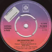 Ecstasy, Passion & Pain - One Beautiful Day / Try To Believe