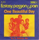 7inch Vinyl Single - Ecstasy, Passion & Pain - One Beautiful Day