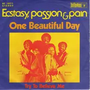 7inch Vinyl Single - Ecstasy, Passion & Pain - One Beautiful Day