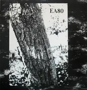 2x 10'' - Ea80 - Grüner Apfel