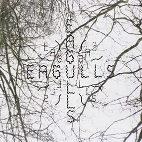 Eagulls - Nerve Endings