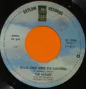7inch Vinyl Single - Eagles - Please Come Home For Christmas