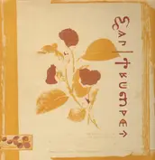 Data Terminal Systems Records