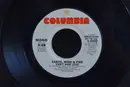 7inch Vinyl Single - Earth, Wind & Fire - Can't Hide Love - Styrene