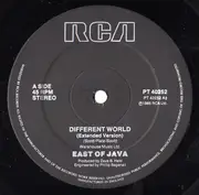 12inch Vinyl Single - East Of Java - Different World