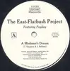 12'' - East Flatbush Project - A Madman's Dream / Can't Hold It Back