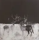 12inch Vinyl Single - Easy Changes - Karen EP - EP