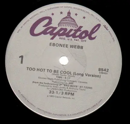 Ebonee Webb - Too Hot To Be Cool