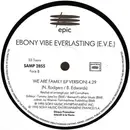 12inch Vinyl Single - Ebony Vibe Everlasting - We Are Family