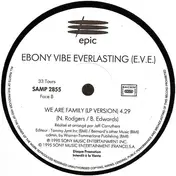 Ebony Vibe Everlasting - We Are Family