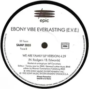 Ebony Vibe Everlasting - We Are Family